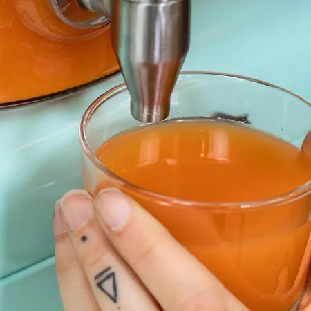 Ibis Centro Hotel 2*