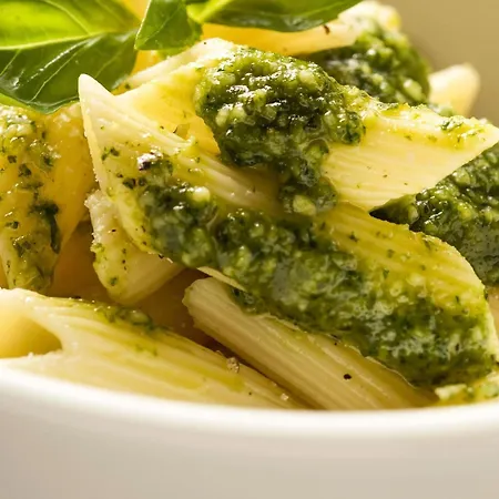 Ibis Centro
