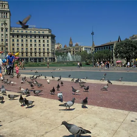 Ibis Centro
