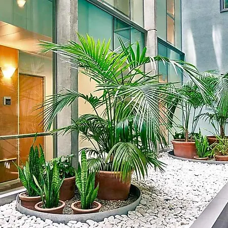 Ibis Centro Hotel