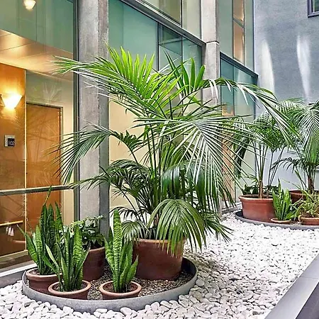 Ibis Centro 2*