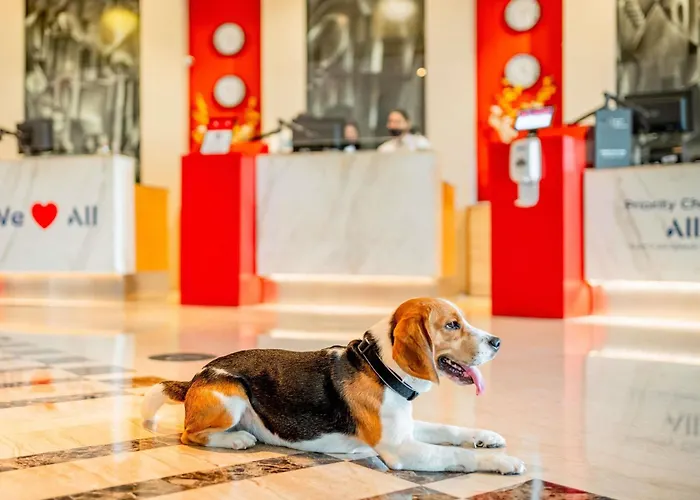 Hotel Ibis Centro 2*