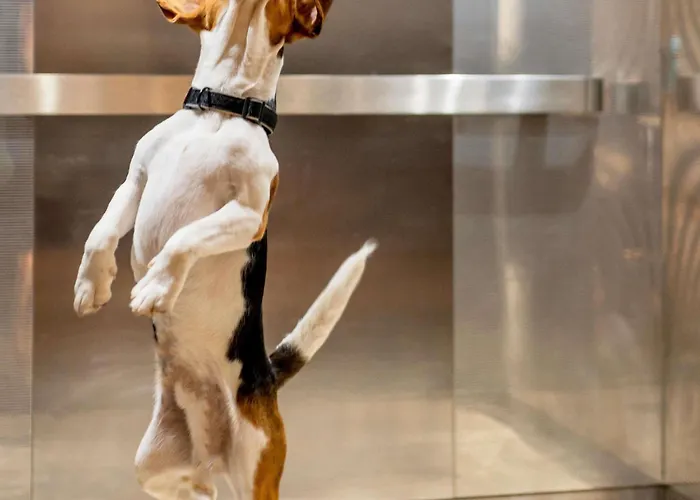 Ibis Centro Hotel Barcellona