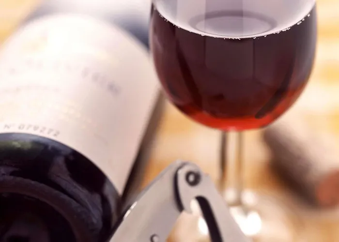 Ibis Centro Hotel 2*